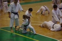 img11_56_big