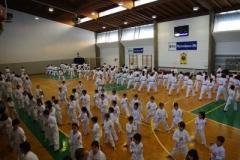 img3_48_big