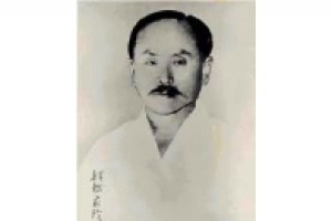 Dove sono finite le proiezioni del karate