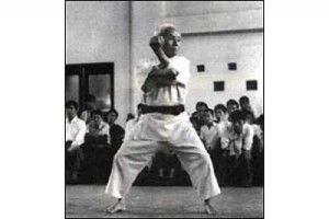 Kata shotokan - shin no budo