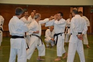 Kumite- Choishi